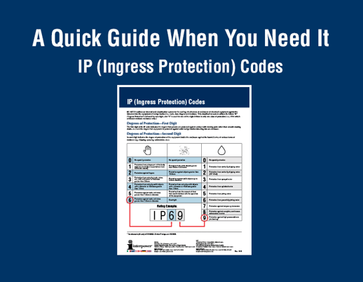 ingress-protection-012024